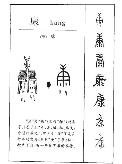 康字五行|康（汉语文字）